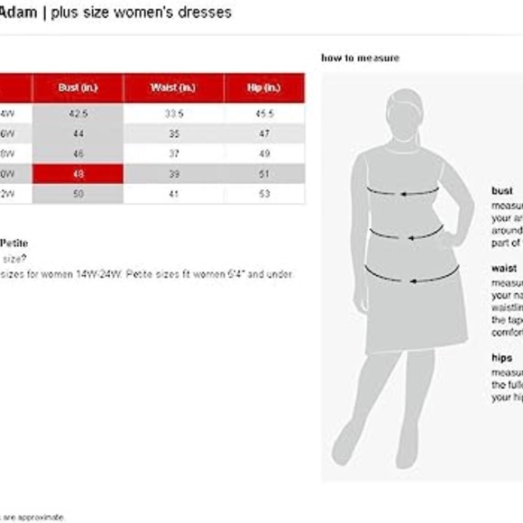 New Betsy and Adam plus size  Dress - Picture 5 of 8